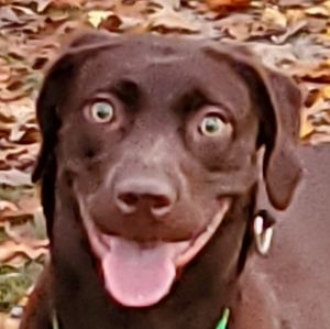 Meet your Posher, Jeff